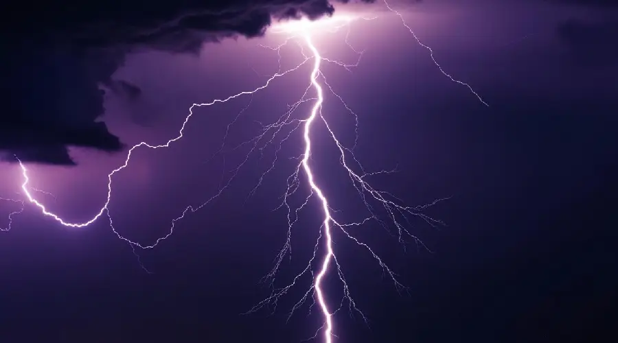 How Often Should You Inspect Electrical Wiring in Jacksonville?
